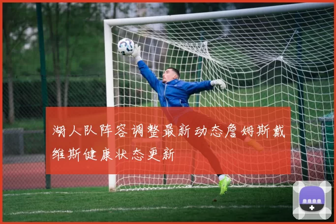 湖人队阵容调整最新动态詹姆斯戴维斯健康状态更新