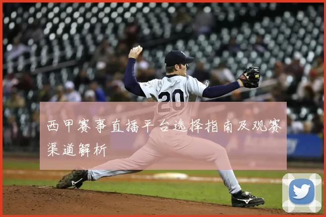 西甲赛事直播平台选择指南及观赛渠道解析